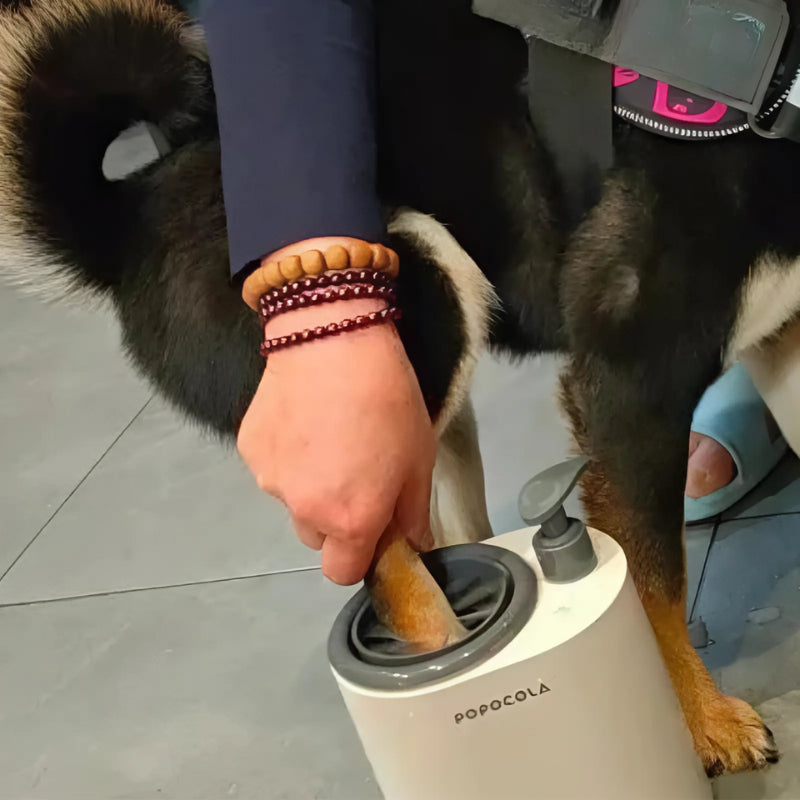 Pet Paw Cleaner Dog Cat Automatic Foot Washer Wiping Cleaning Machine POPOCOLA
