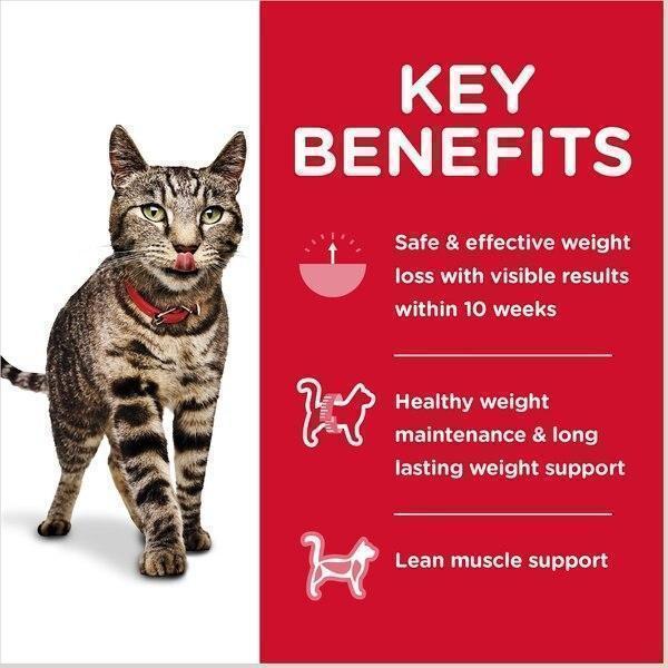 HILLS CAT ADULT PERFECT WEIGHT VARIETY PACK CANS 12PK