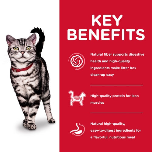 HILLS INDOOR ADULT DRY CAT FOOD 2KG / 4KG