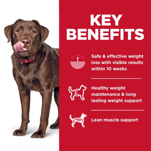 HILLS DOG FOOD ADULT PERFECT WEIGHT LARGE BREED CHICKEN RECIPE 11.34KG