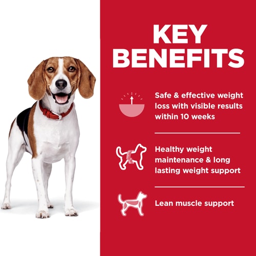 HILLS DOG FOOD ADULT PERFECT WEIGHT SMALL BITES CHICKEN RECIPE 5.44KG