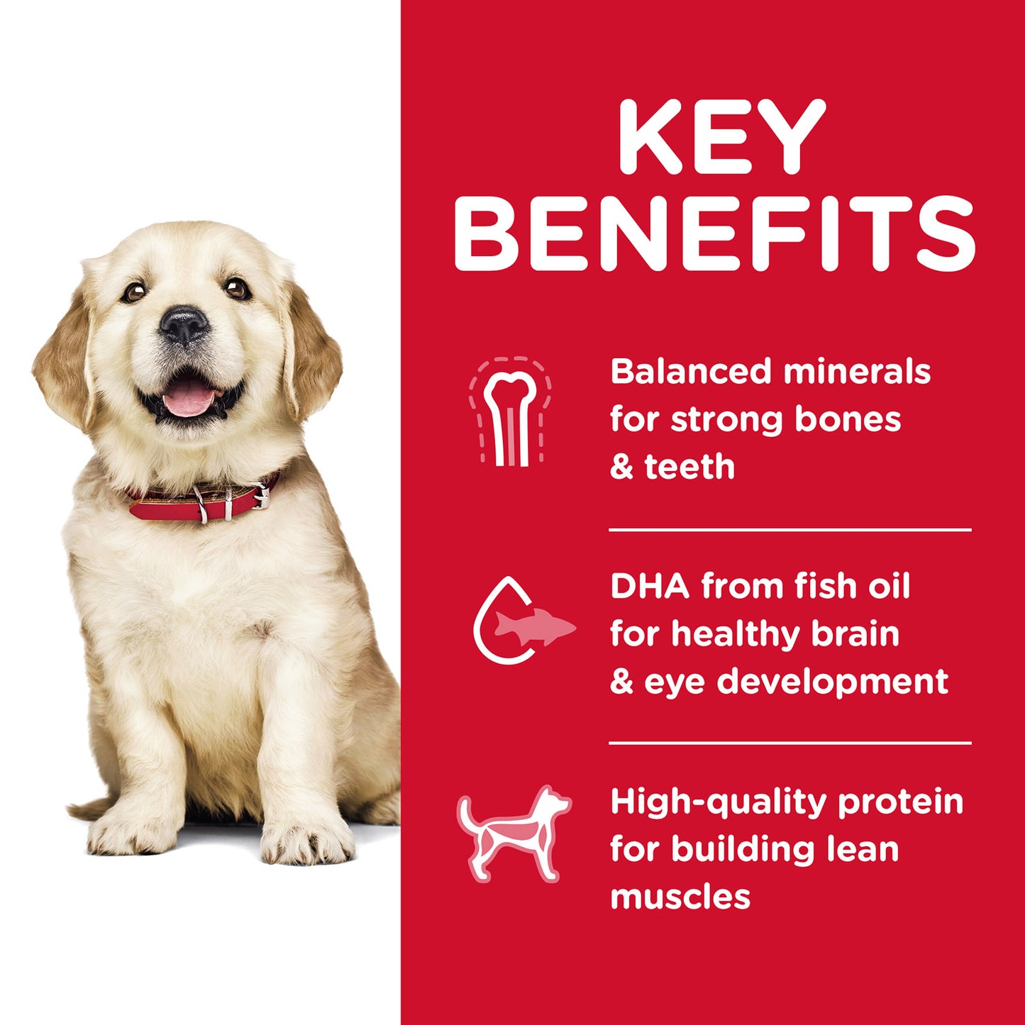 HILLS PUPPY LARGE BREED CHICKEN AND BROWN RICE RECIPE 3KG / 7.03KG/ 12KG