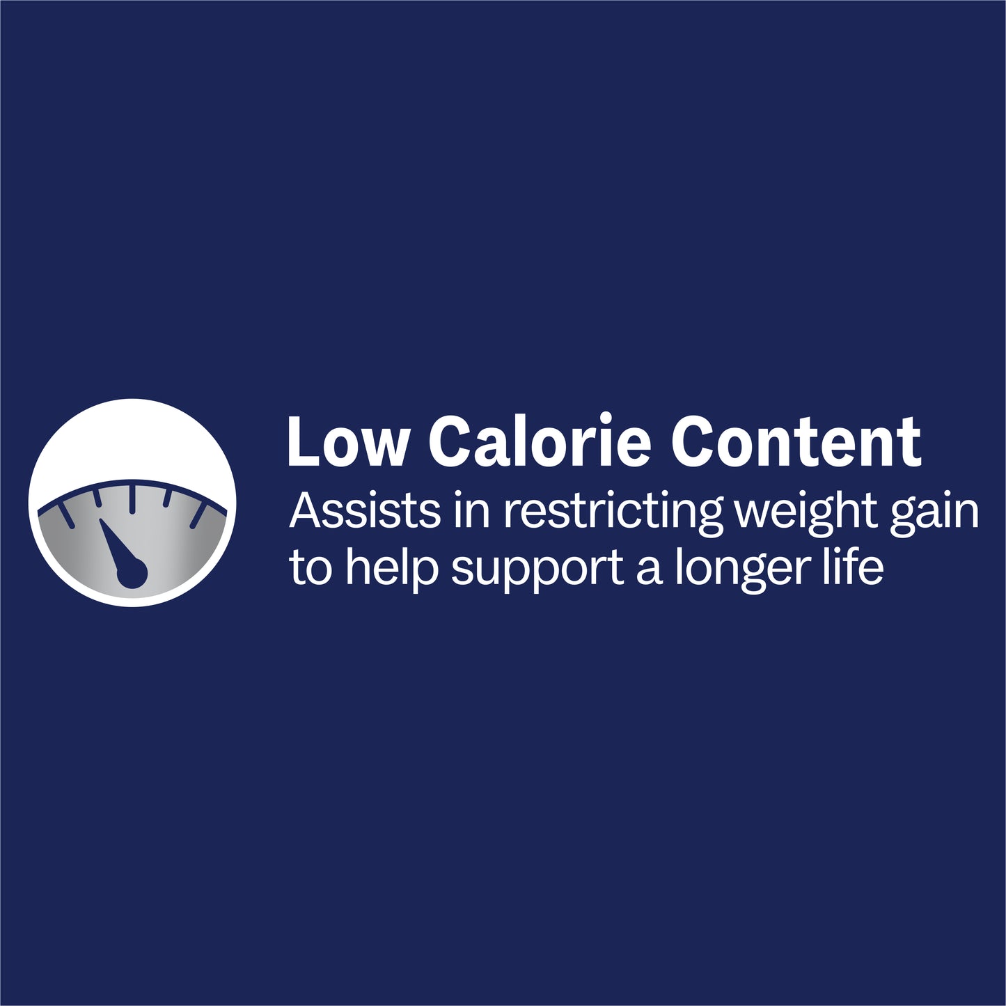 ADVANCE DOG ADULT HEALTHY WEIGHT TURKEY RICE 100G