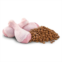 OPTIMUM CAT DRY FOOD KITTEN WITH CHICKEN 800G