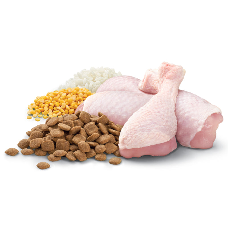 OPTIMUM ADULT LARGE GIANT BREEDS DOG CHICKEN VEGETABLE RICE 15KG
