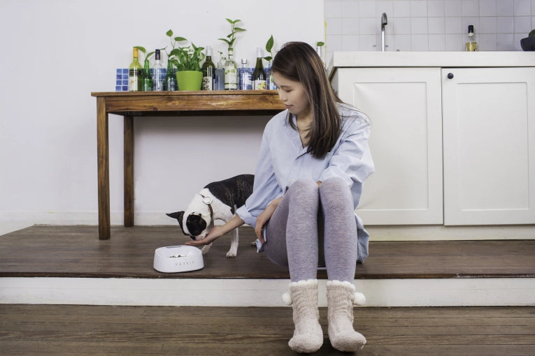 PETKIT Fresh Smart Bowl