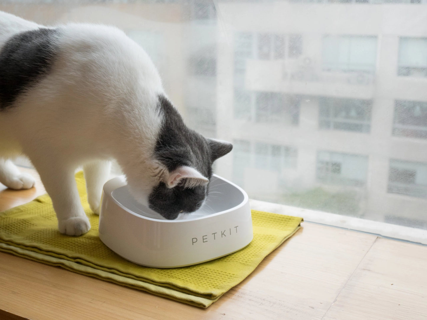 PETKIT Fresh Smart Bowl