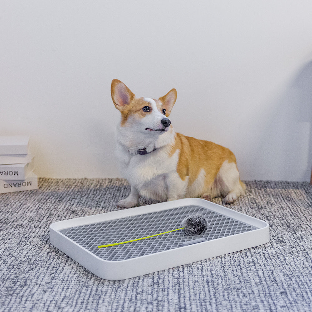 PETKIT Pura Dog- Dog Training Tray