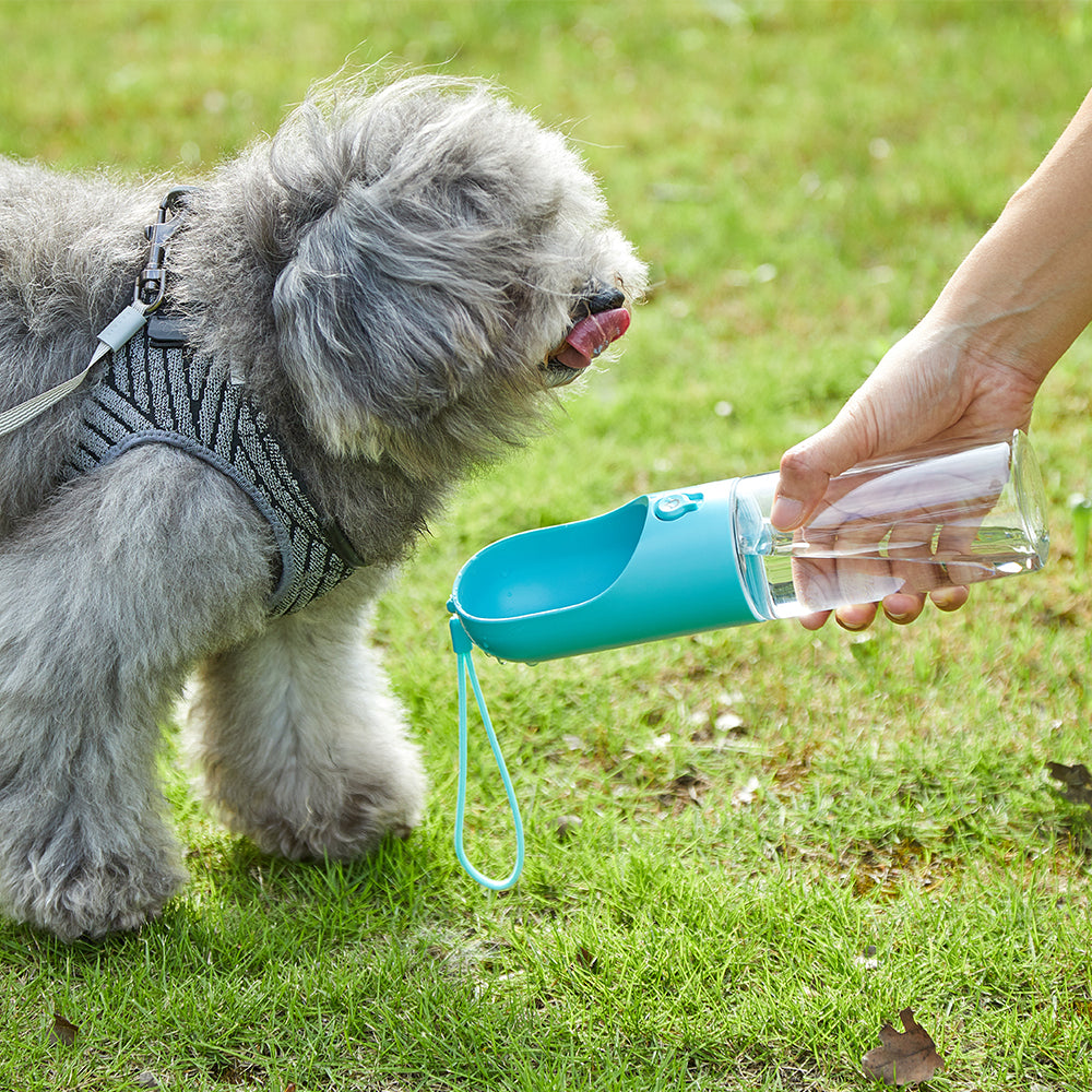 PETKIT Eversweet Travel Water Bottle