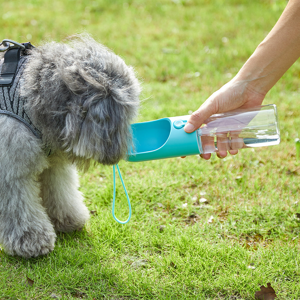 PETKIT Eversweet Travel Water Bottle