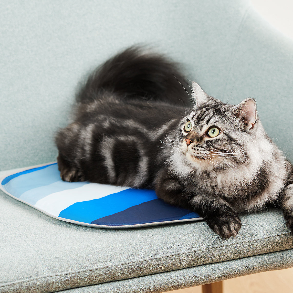 PETKIT Cooling Cat Pad (For PETKIT Pura X)
