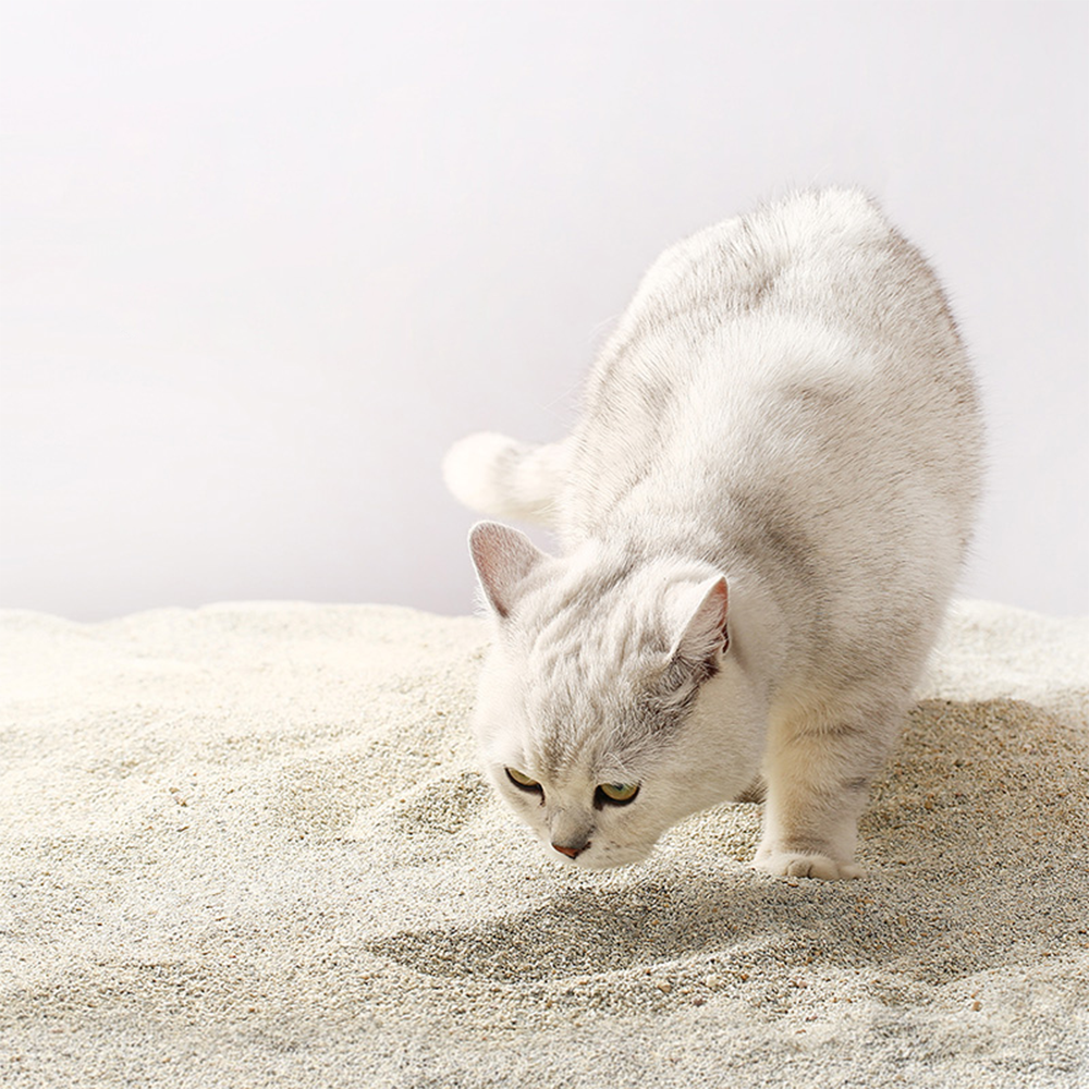 CATLINK Imported Nudge Bentonite Cat Litter - Martian Stone 4.5Kg