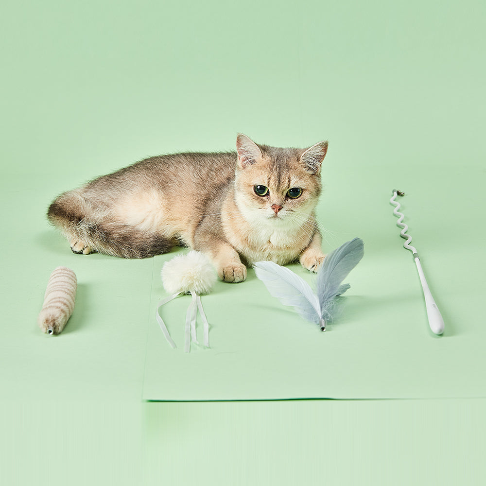 PETKIT Cat Teaser Wand