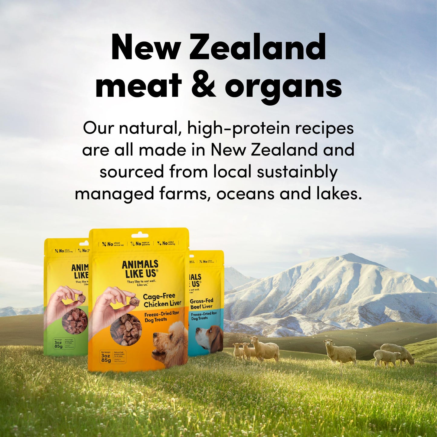 Animals Like Us - Grass-Fed Lamb Tripe Freeze-Dried Raw Dog Treats 60g