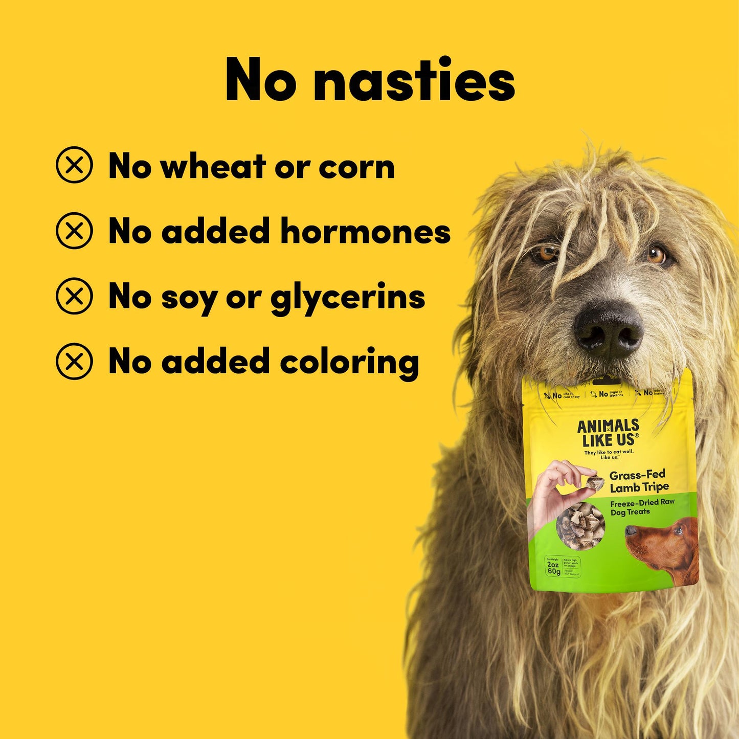 Animals Like Us - Grass-Fed Lamb Tripe Freeze-Dried Raw Dog Treats 60g
