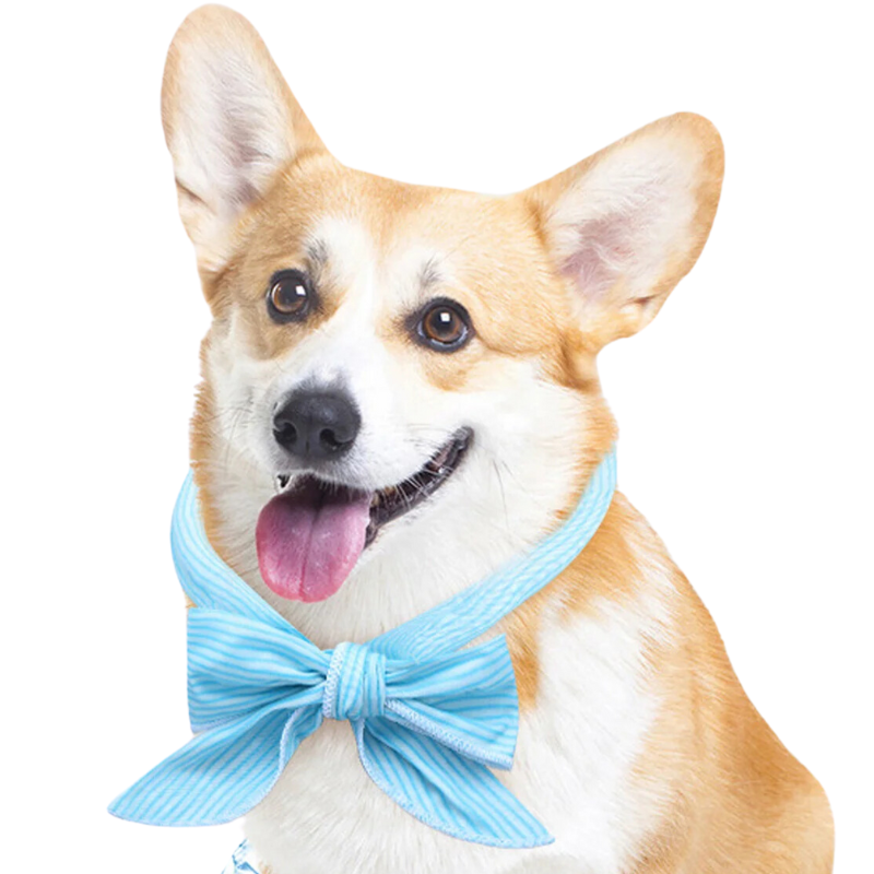 Summer Pet Cooling Ice Scarf Cool Ice Towel Heatstroke Dogs Cats Ice Scarf Collar Adjustable Cooling Cat Collar Bib Dog Supplies