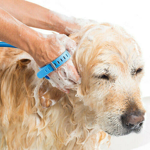 Pet Dog Cleaning Bathing Tool Shower and Scrubber