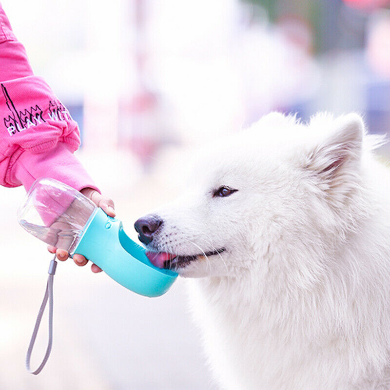 Pet Cat Dog Portable Travel Outdoor Drinking Water Bottle Food Bowl Dispenser