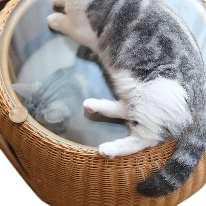 Multifunctional Pet-Friendly Furniture Japan Imported Rattan  Table Cat Bed