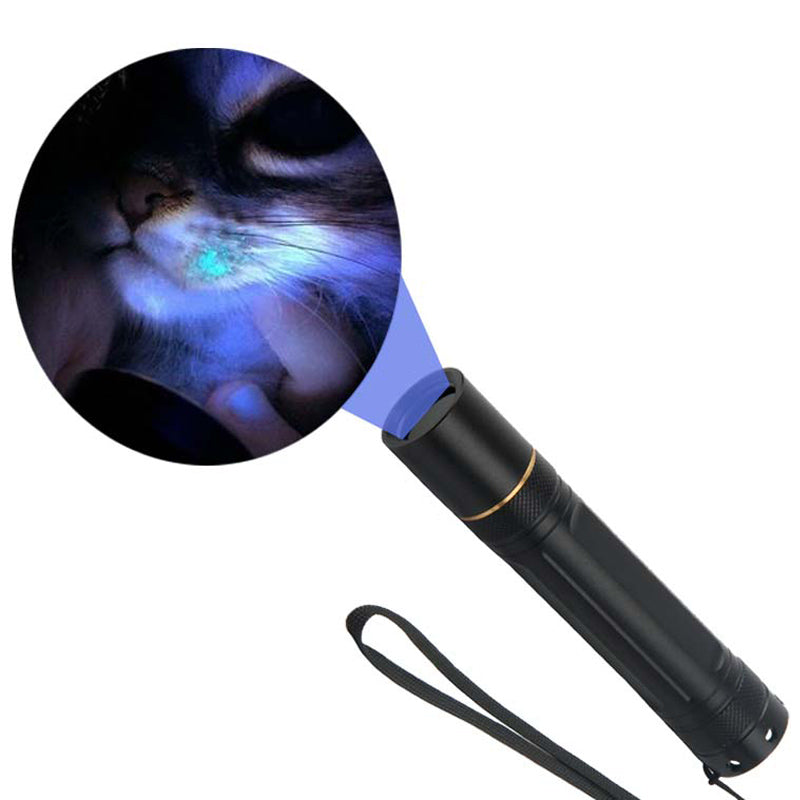 Pet Skin Care UV Lens Ultraviolet Flashlight Purple Detection Lamp