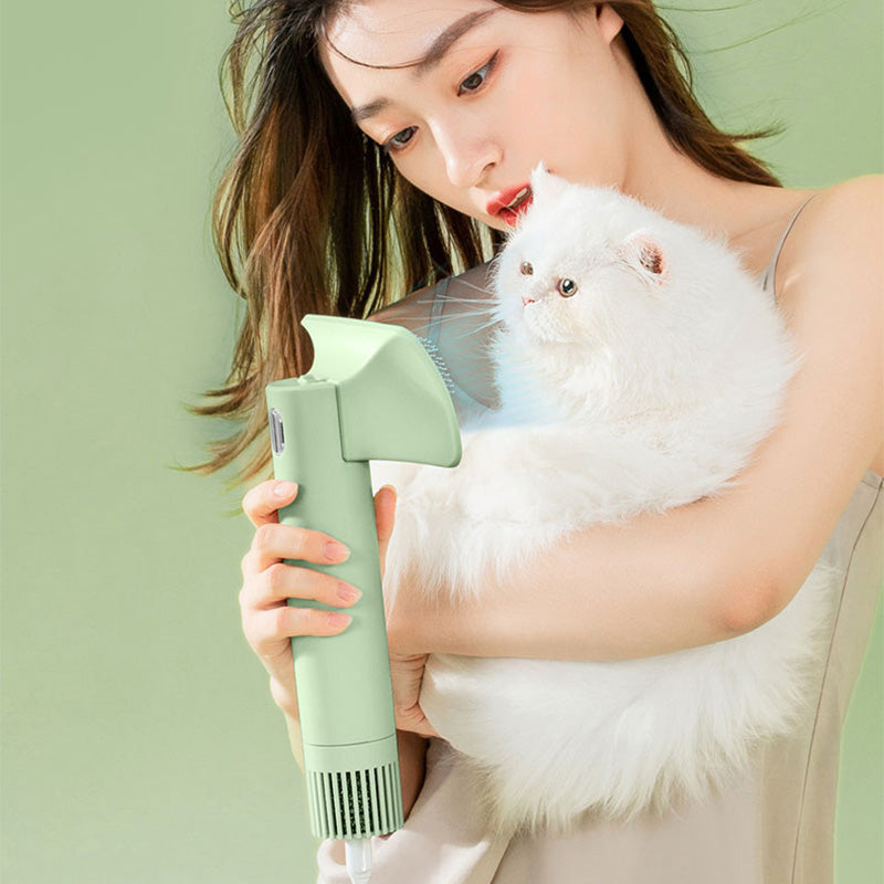 Pet Cat Dog Pet Hair-pulling Dryer Blowing Combing Quick-drying Comb Brush