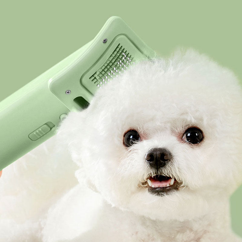 Pet Cat Dog Pet Hair-pulling Dryer Blowing Combing Quick-drying Comb Brush