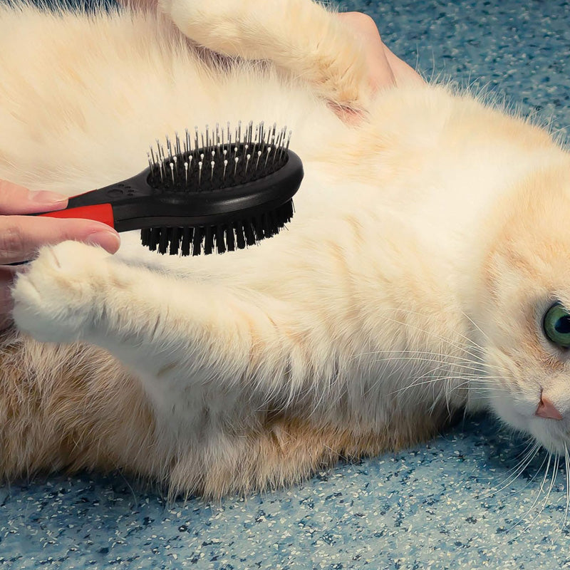 Pet Cat Dog Double-sided Brush Comb Grooming Dual Use Massage