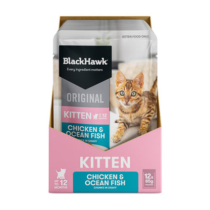 BLACKHAWK 12PK KITTEN WET CHICKEN OCEAN FISH IN GRAVY 85G