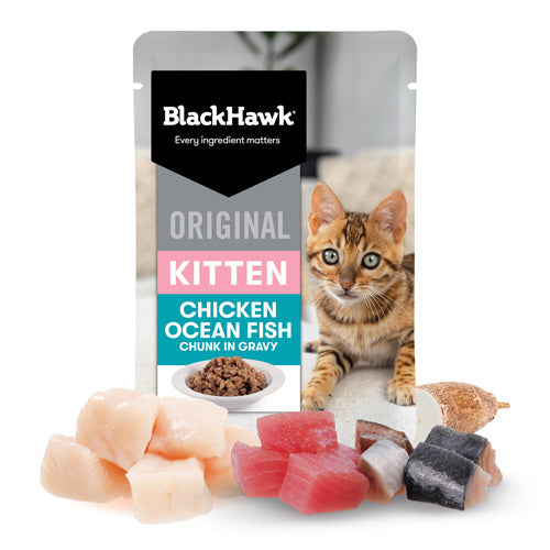 BLACKHAWK 12PK KITTEN WET CHICKEN OCEAN FISH IN GRAVY 85G