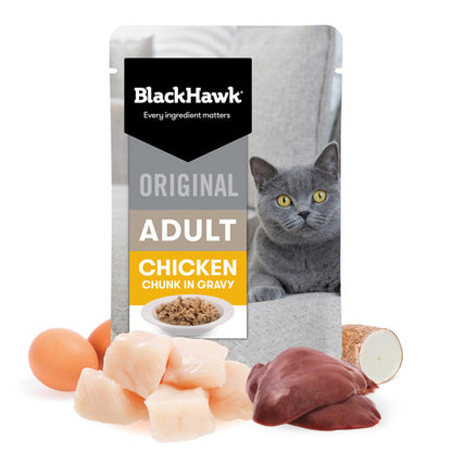 BLACKHAWK 12PK CAT WET CHICKEN IN GRAVY 85G