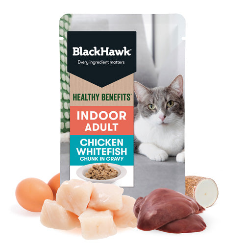 BLACKHAWK 12PK CAT WET HEALTHY BENEFITS CHICK FISH GRAVY 85G