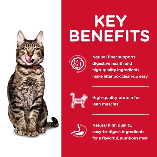 HILLS CAT ADULT 7+ INDOOR 1.58KG/3.17KG CHICKEN RECIPE