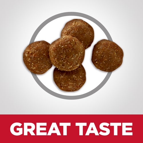 HILLS CAT ADULT 7+ PERFECT DIGESTION ADULT 2.72KG Chicken Barley Whole Oats