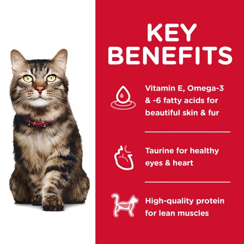 HILLS CAT ADULT 7+ HAIRBALL CONTROL 4KG Cat Food