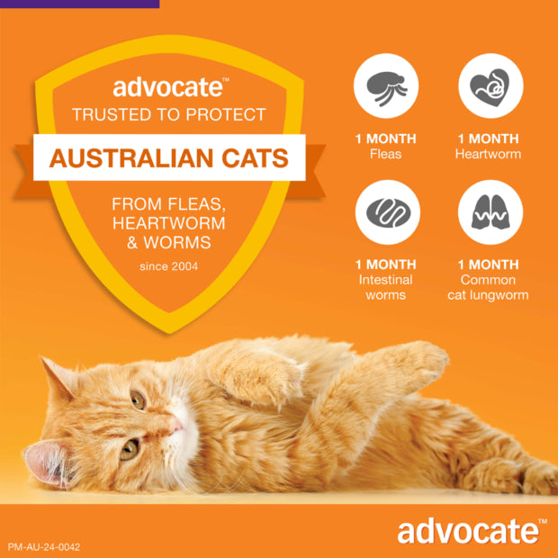 ADVOCATE CAT 4KG PLUS LARGE 1'S/3'S/6'S PURPLE Cats Flea and Parasite treatment