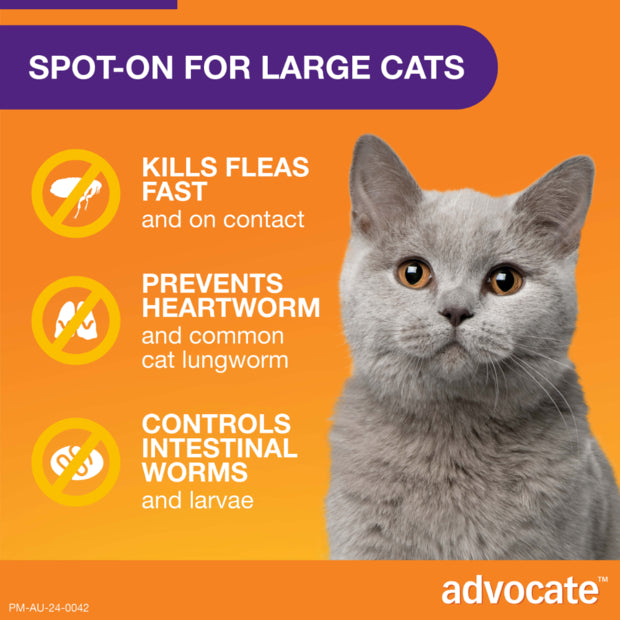 ADVOCATE CAT 4KG PLUS LARGE 1'S/3'S/6'S PURPLE Cats Flea and Parasite treatment