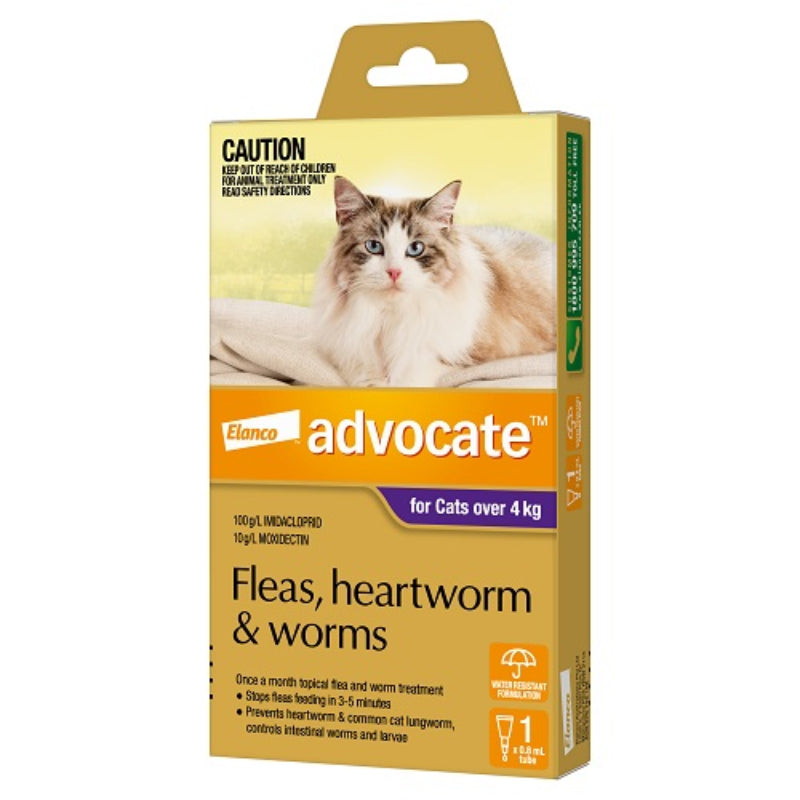 ADVOCATE CAT 4KG PLUS LARGE 1'S/3'S/6'S PURPLE Cats Flea and Parasite treatment