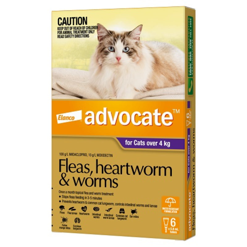 ADVOCATE CAT 4KG PLUS LARGE 1'S/3'S/6'S PURPLE Cats Flea and Parasite treatment