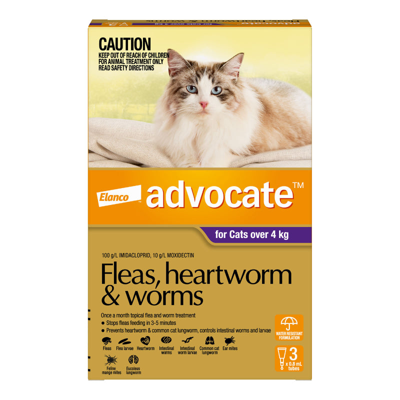 ADVOCATE CAT 4KG PLUS LARGE 1'S/3'S/6'S PURPLE Cats Flea and Parasite treatment