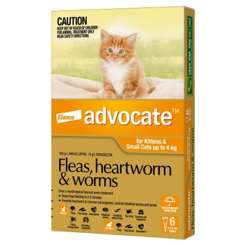 ADVOCATE CAT 0-4KG SMALL 1'S/3'S/6'S ORANGE Cats Flea and Parasite treatment