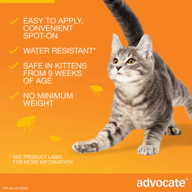 ADVOCATE CAT 0-4KG SMALL 1'S/3'S/6'S ORANGE Cats Flea and Parasite treatment