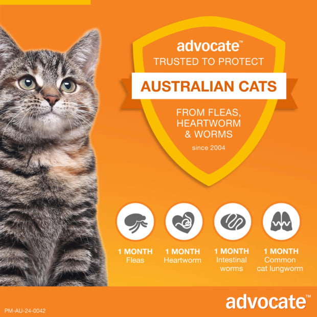 ADVOCATE CAT 0-4KG SMALL 1'S/3'S/6'S ORANGE Cats Flea and Parasite treatment