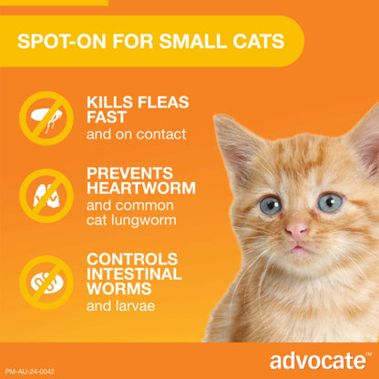 ADVOCATE CAT 0-4KG SMALL 1'S/3'S/6'S ORANGE Cats Flea and Parasite treatment