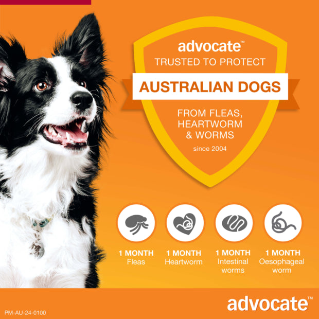 ADVOCATE DOG 10-25KG LARGE 1'S/3'S/6'S RED Dogs Flea and Parasite treatment