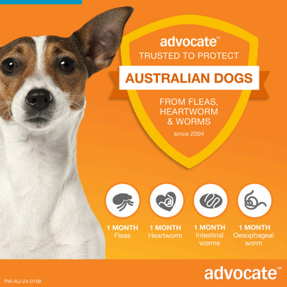 ADVOCATE DOG 4-10KG MEDIUM 1'S/3'S/6'S TEAL Dogs Flea and Parasite treatment