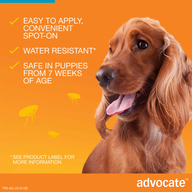 ADVOCATE DOG 4-10KG MEDIUM 1'S/3'S/6'S TEAL Dogs Flea and Parasite treatment