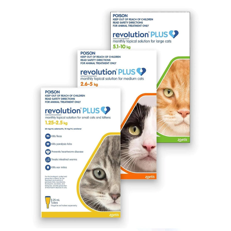 REVOLUTION CAT PLUS KITTEN 3PK/6PK 1.25-2.5KG