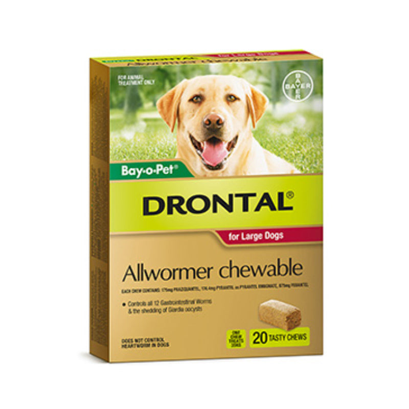 DRONTAL DOG 35KG ALLWORMER CHEWABLE LARGE 2/20/50 CHEWS