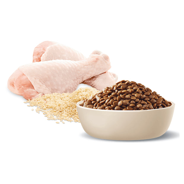 ADVANCE CAT DRY ADULT CHICKEN WITH RICE 20KG/6KG/3KG
