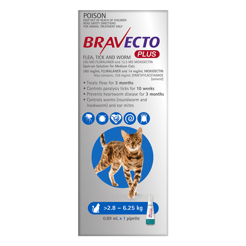 Bravecto Plus for Medium Cats (2.8-6.25 kg) Blue 1 Pack